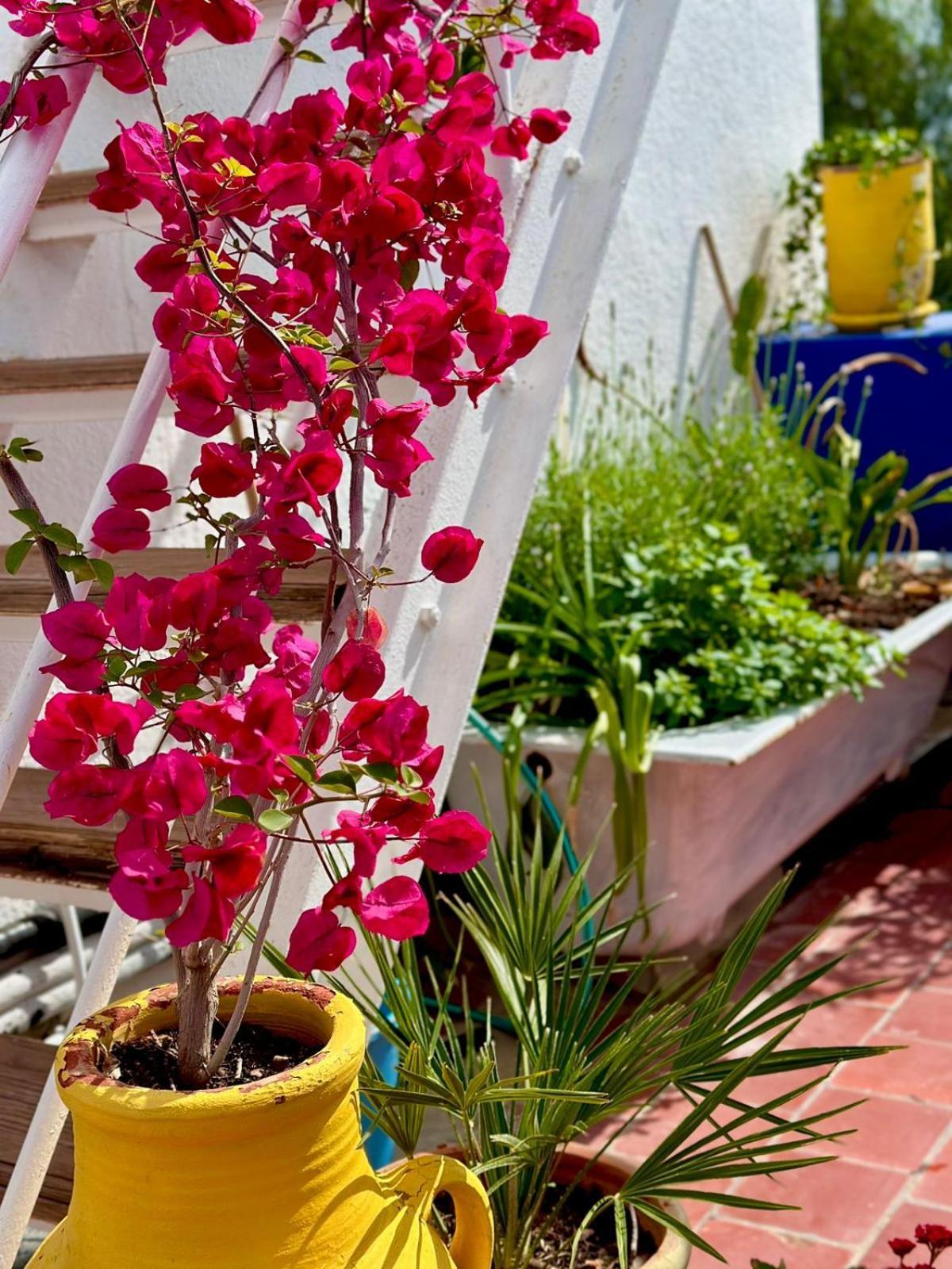 Nomads Hostel Tunisia Exterior photo